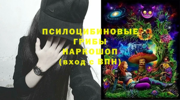гидропоника Карталы