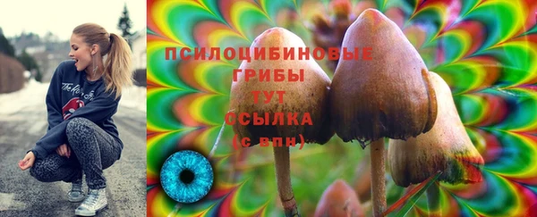 гидропоника Карталы