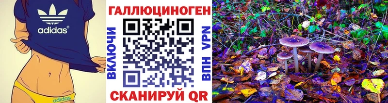 Галлюциногенные грибы Psilocybine cubensis  Купить  Покров 